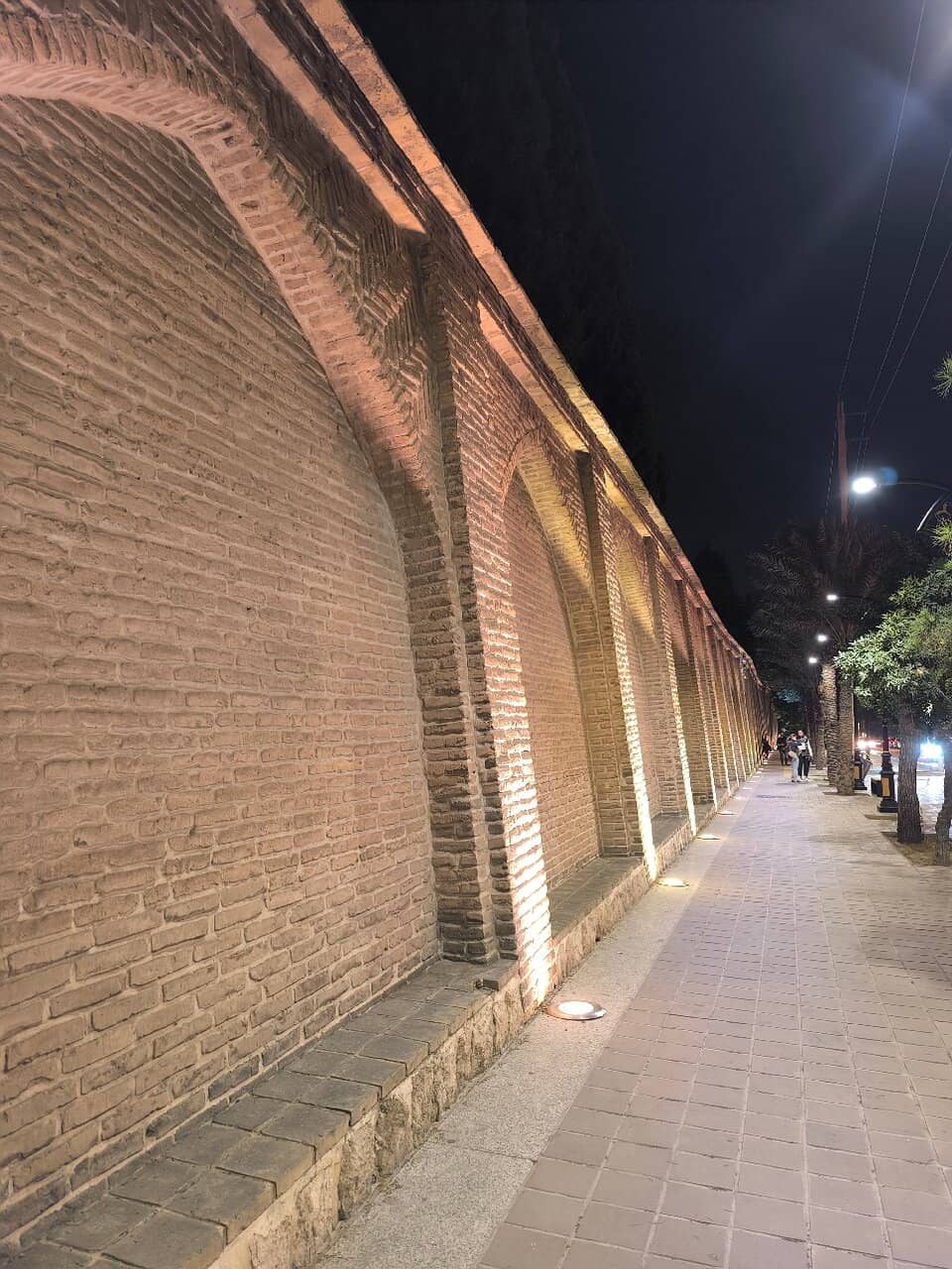 Simurgh Tree Carving