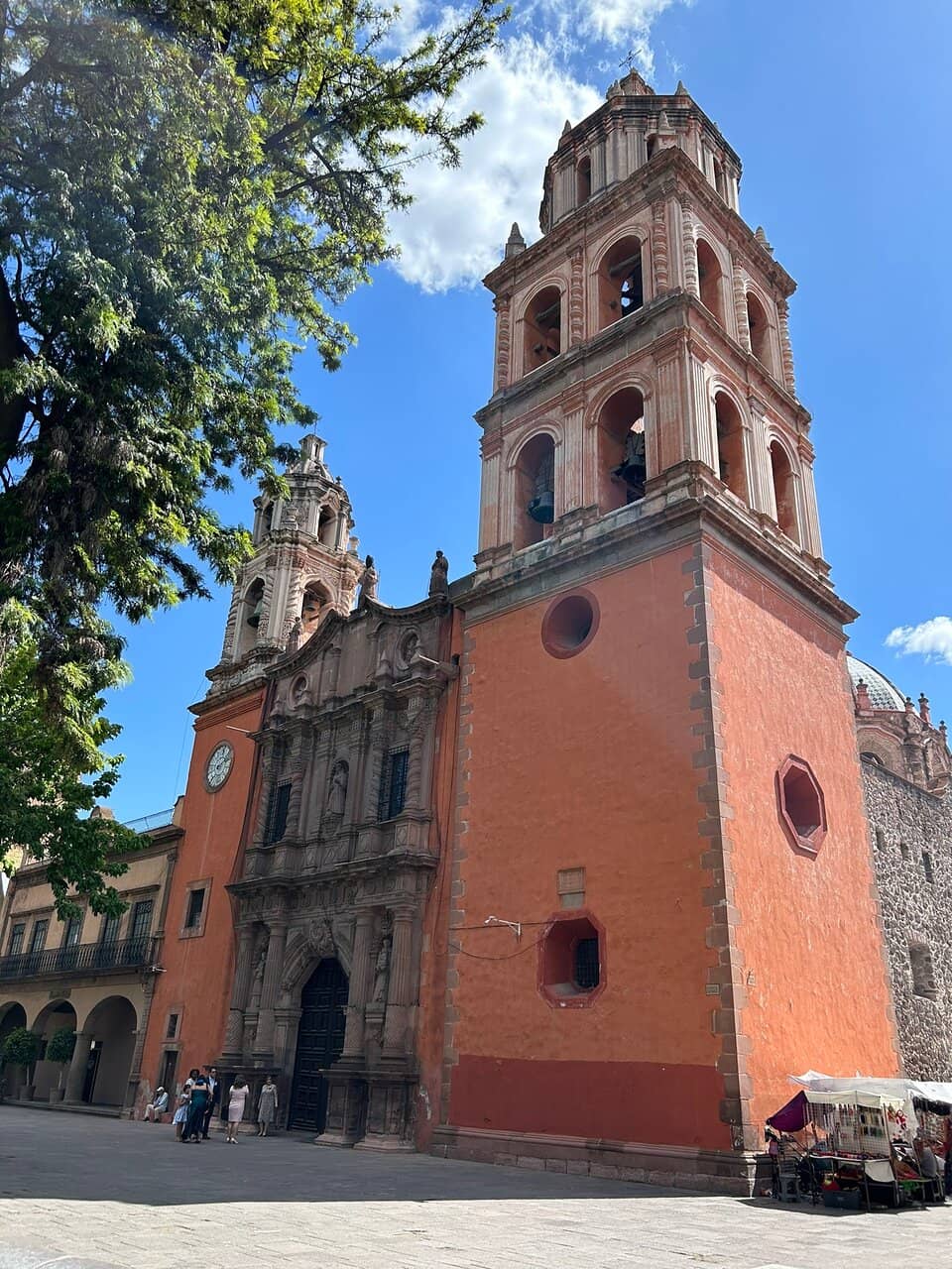 Gastronomic Delights