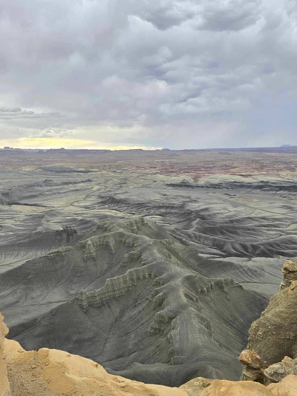 Icelandic Horse Encounters