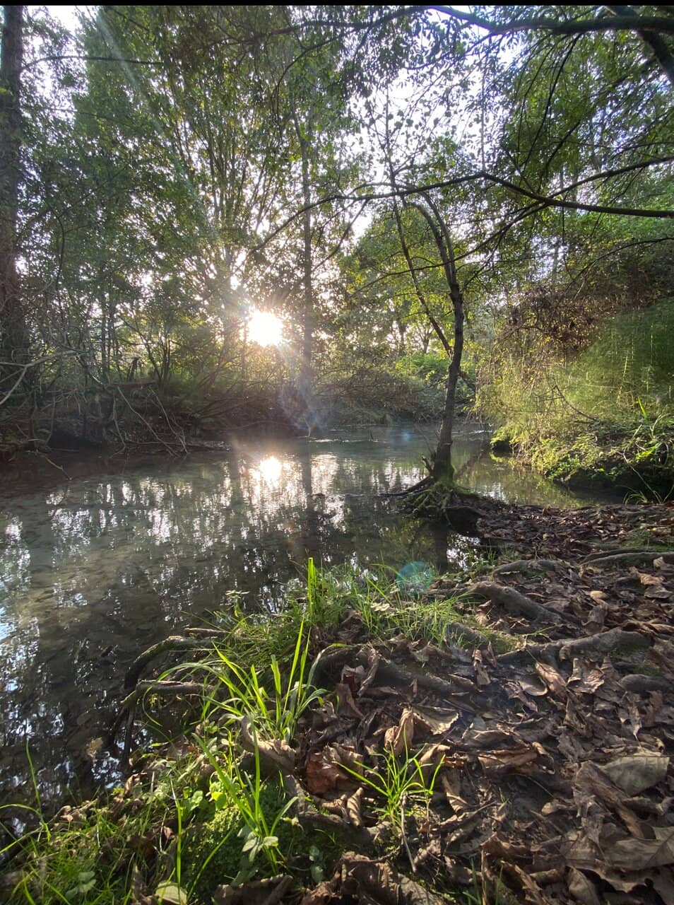 Osteria ai Pioppi's Handmade Rides