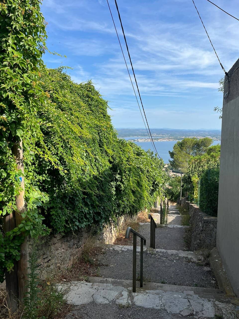 Tranquil Picnic Spots