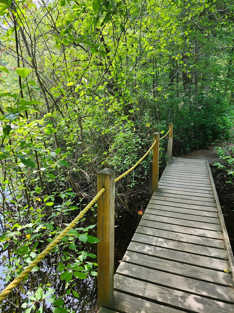 Emerson-Thoreau Amble