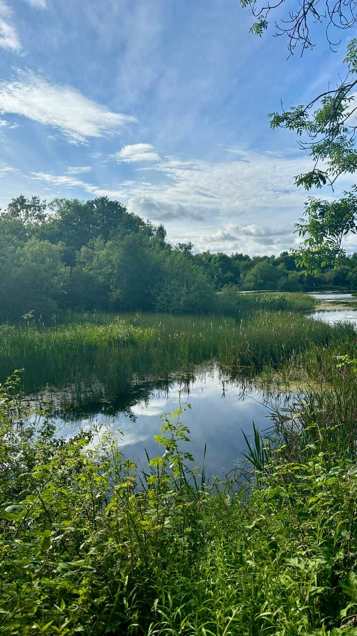 Wildlife Sightings
