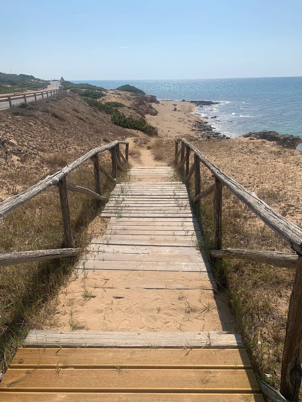 Untamed Natural Beauty