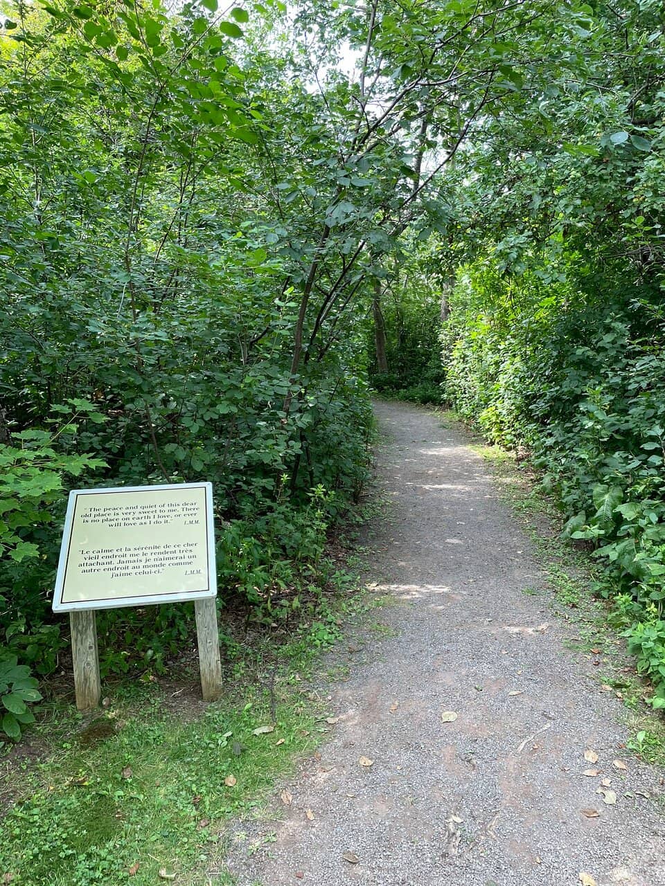 Haunted Wood & Lover's Lane Trails