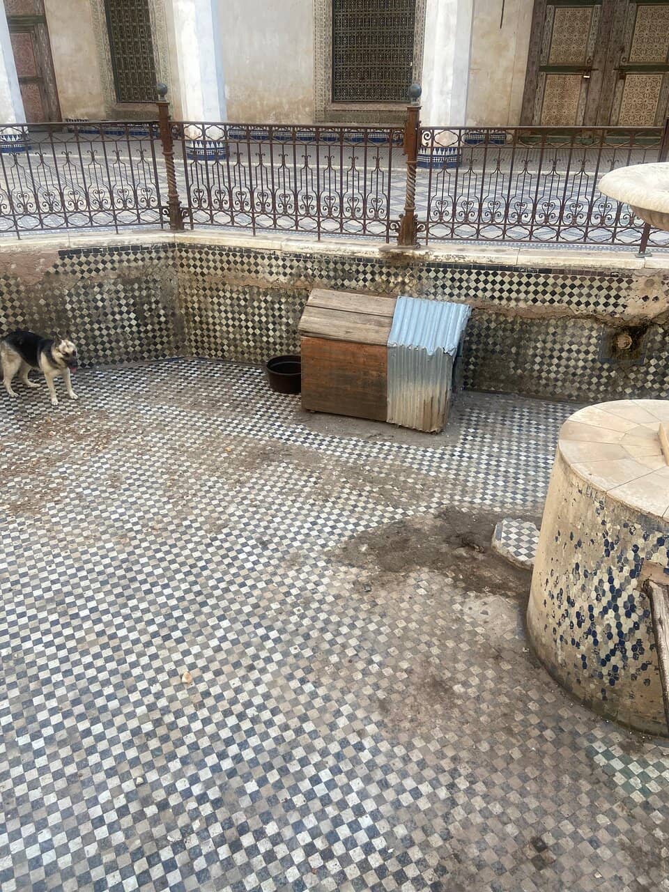 Bacha Coffee Experience