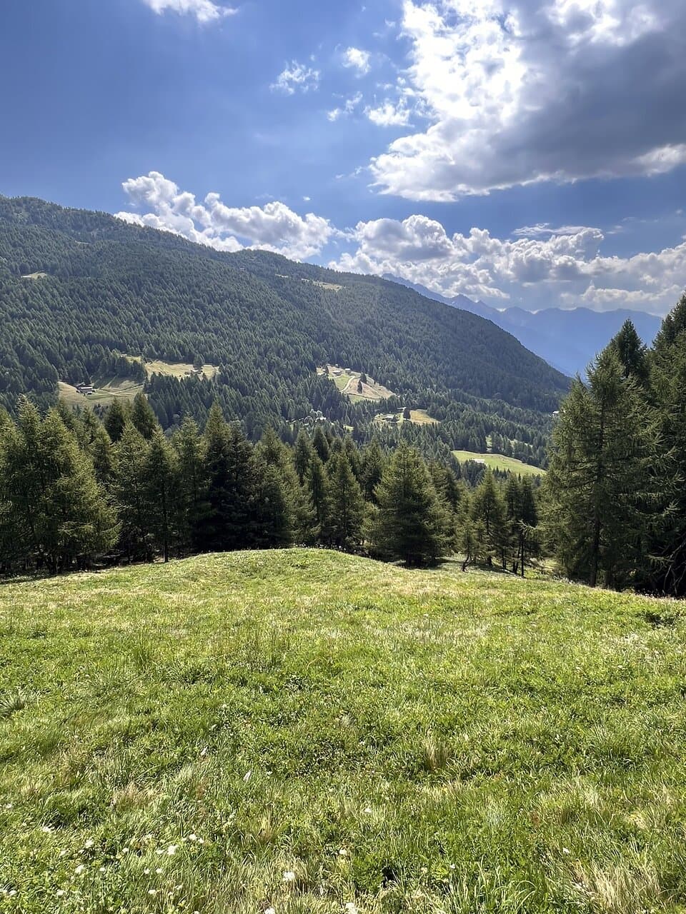Mortirolo Pass