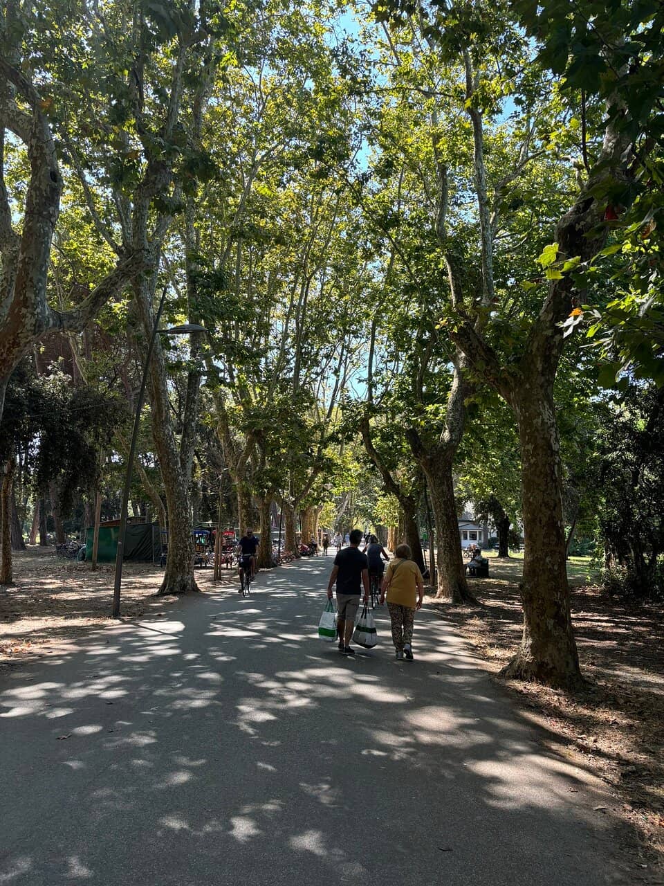 Bike and Rickshaw Rentals