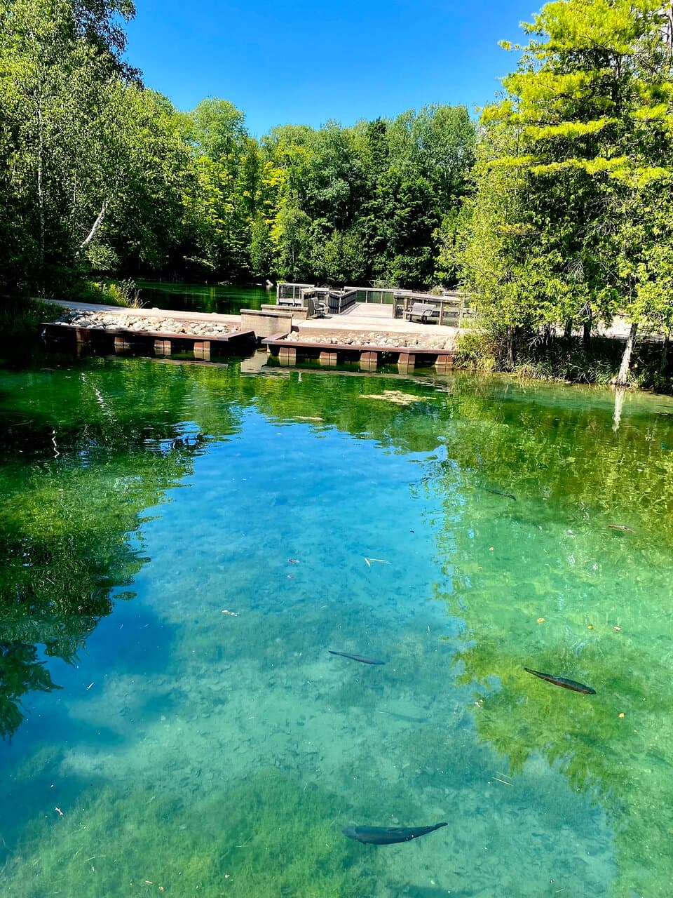 Fish ponds