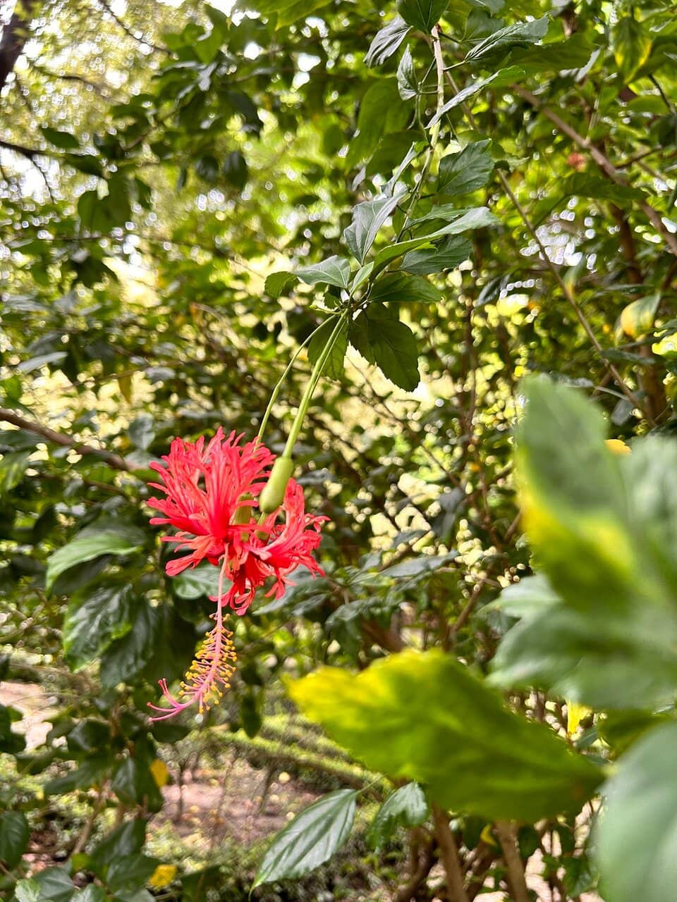 Serene Lakes and Ponds
