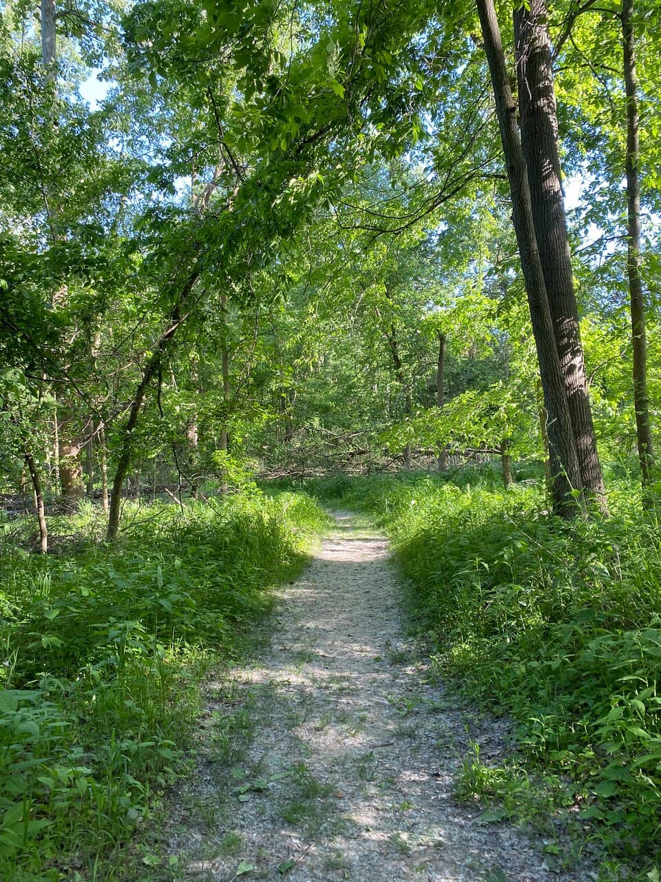 Scenic Creek Trails