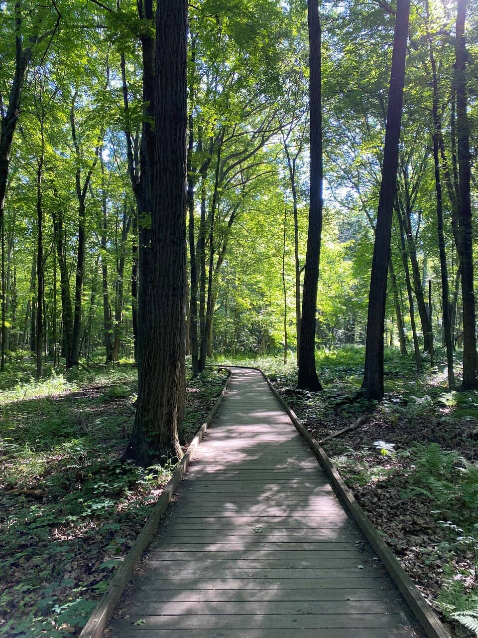 Floodplain Trail Boardwalk