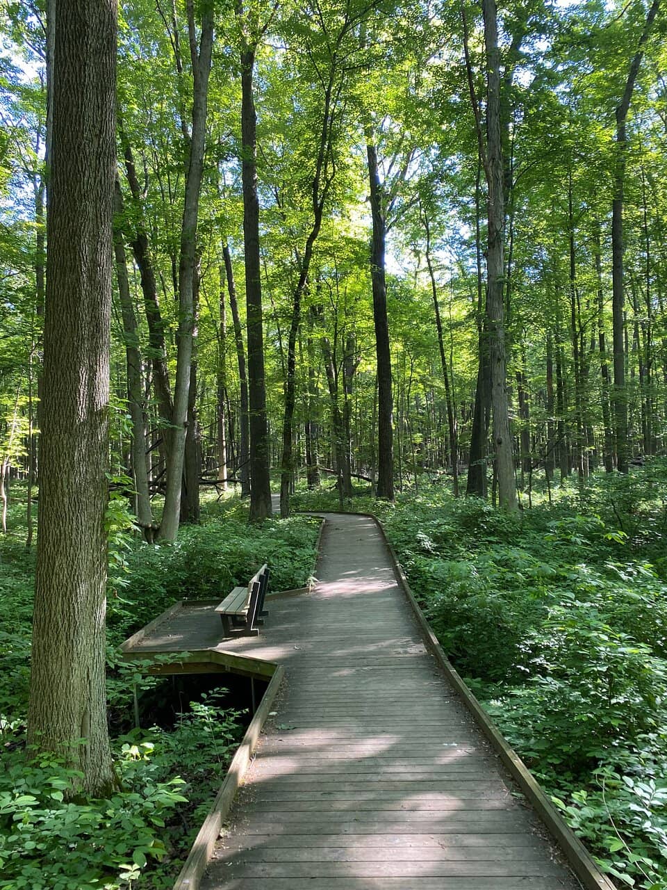 Floodplain Trail Boardwalk
