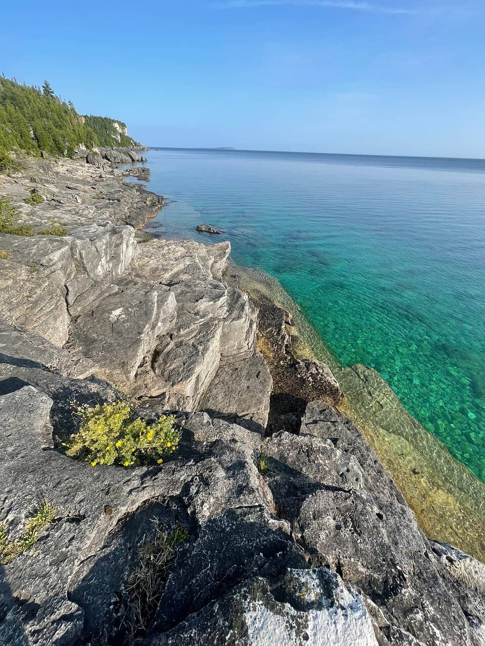 Rugged Rocky Shoreline