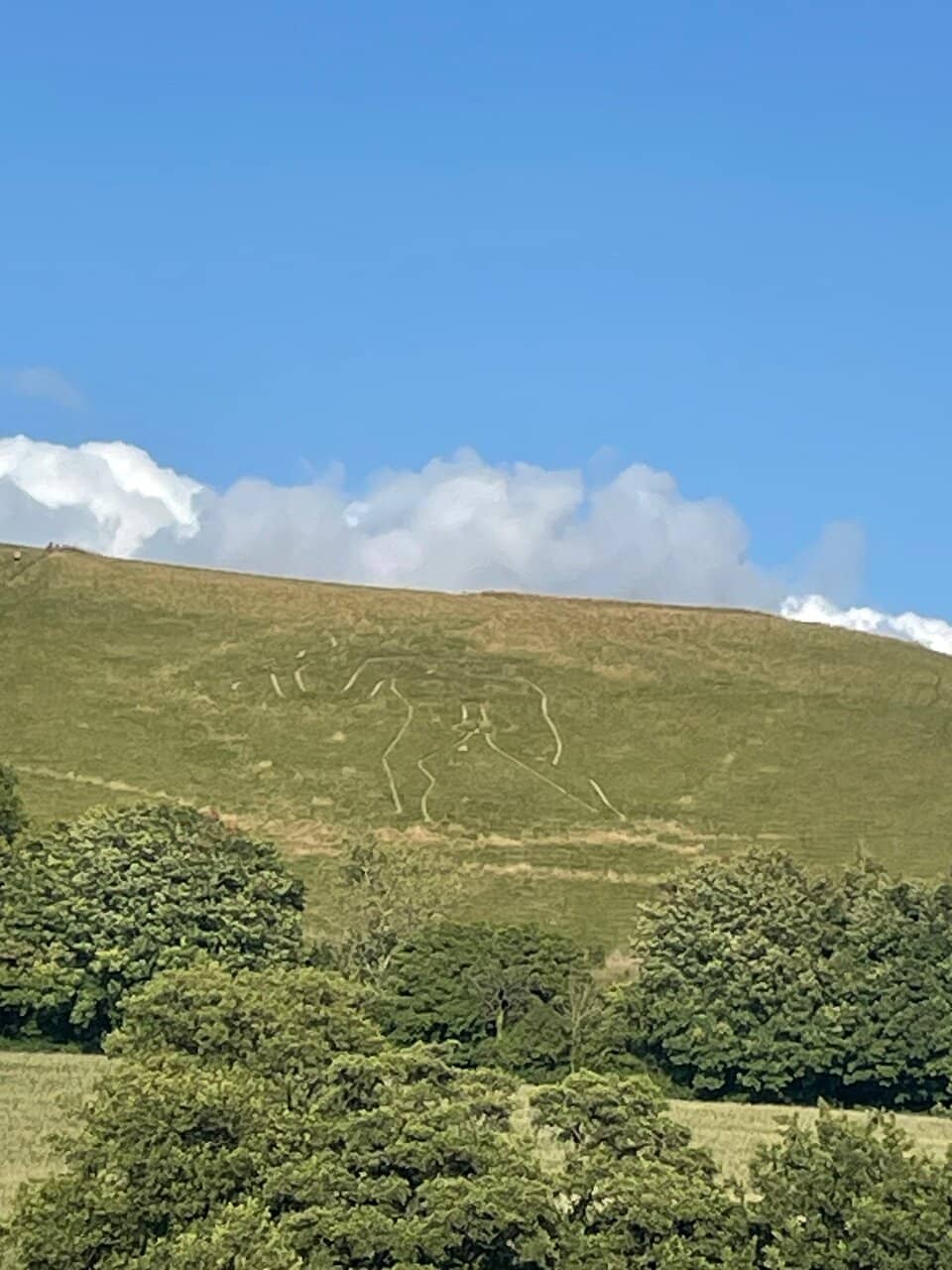 Hillside Walking Trails