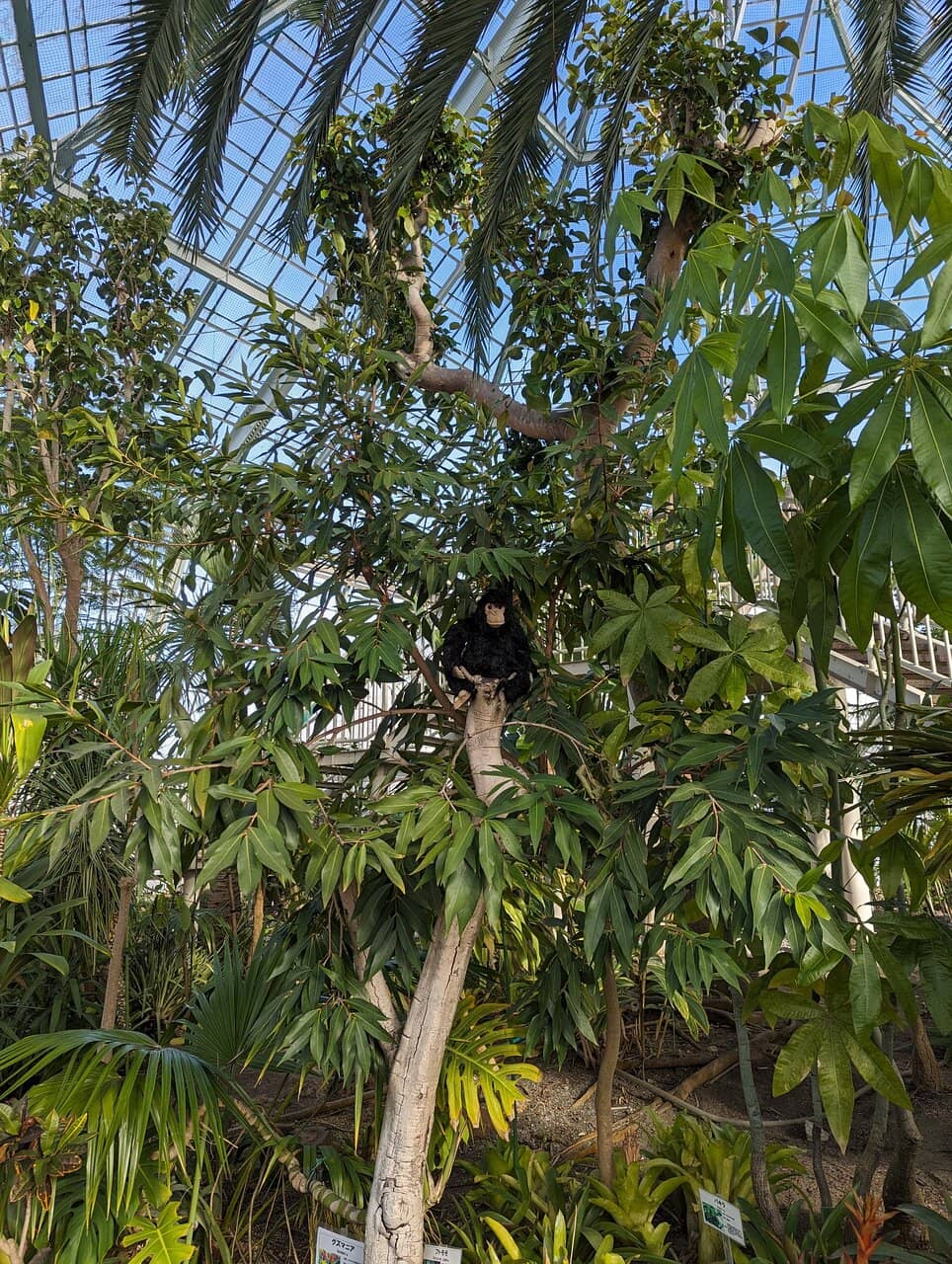 Tropical Greenhouse