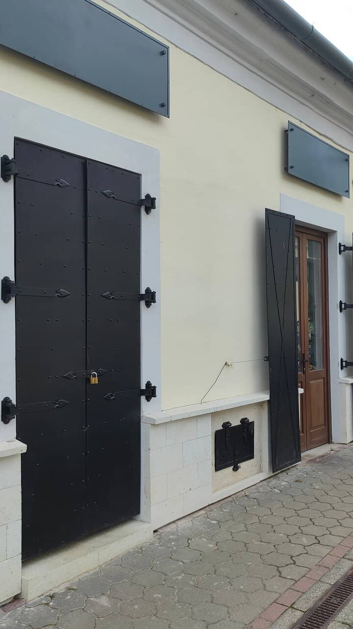 Vineyard Views & Grape Tasting