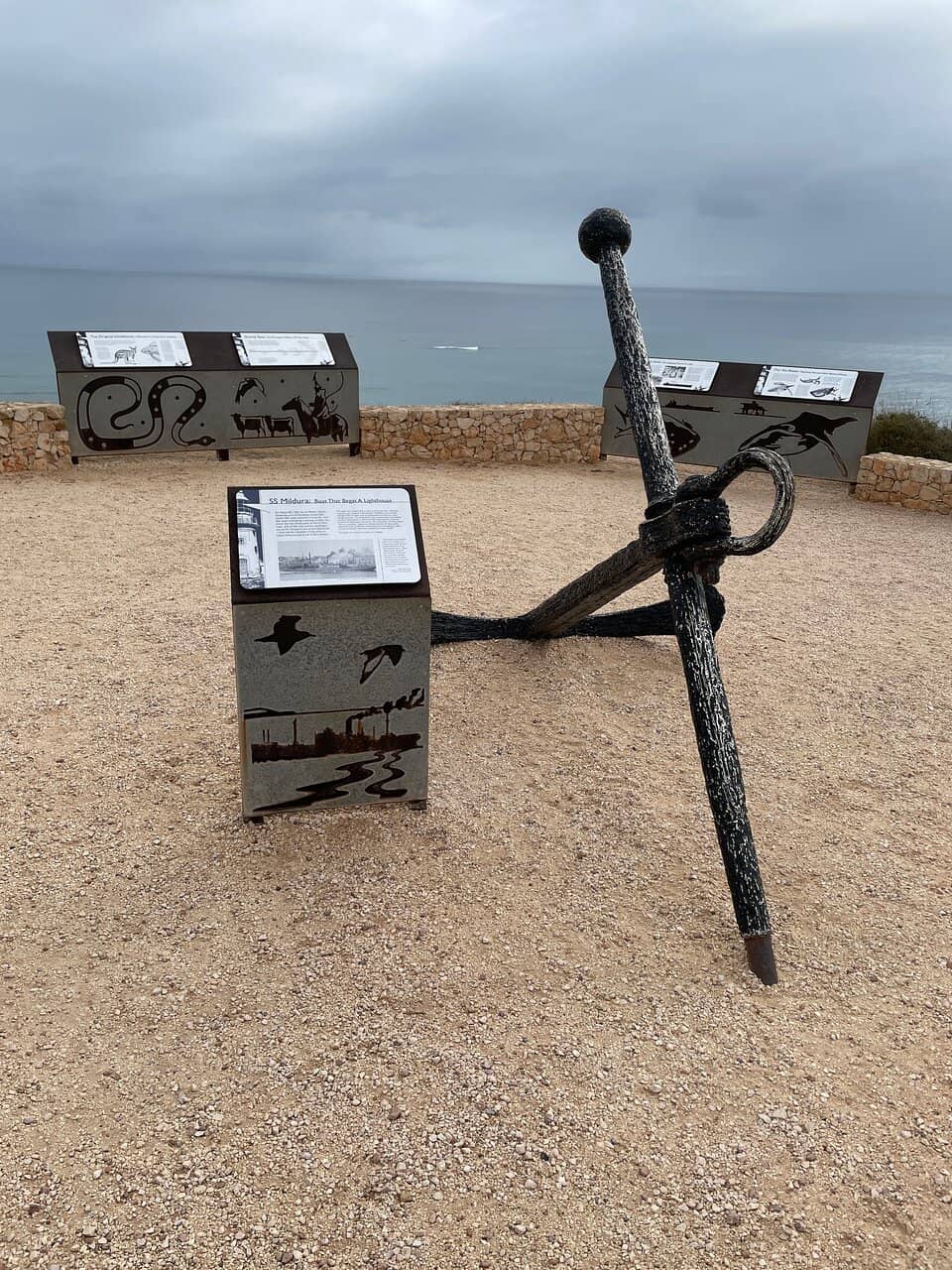 Whale Watching Opportunities