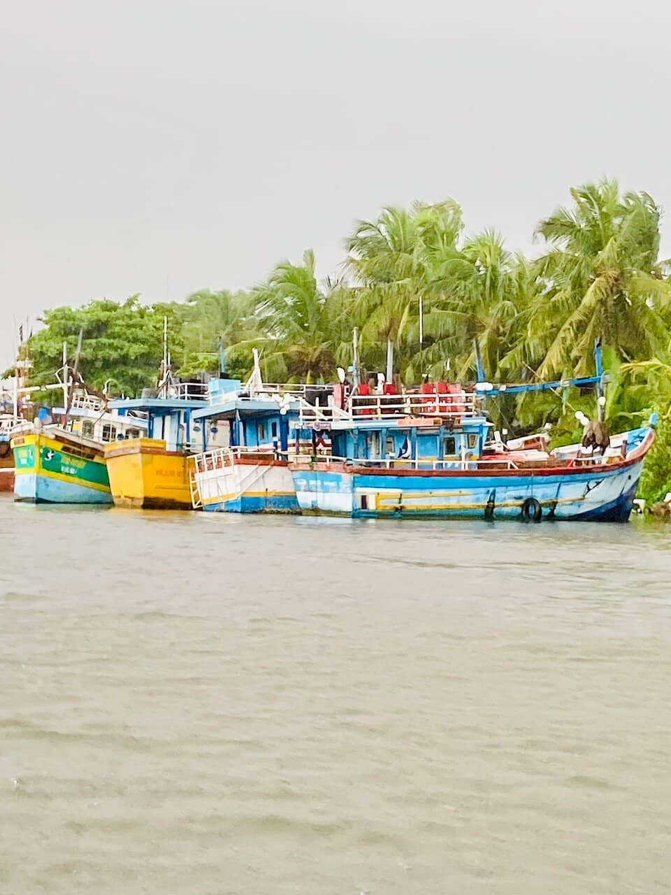 Negombo Lagoon Ecosystem