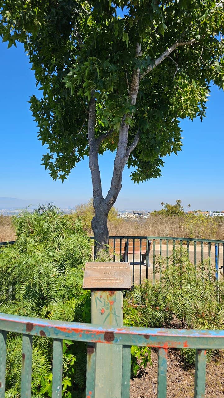 Serene Japanese Garden