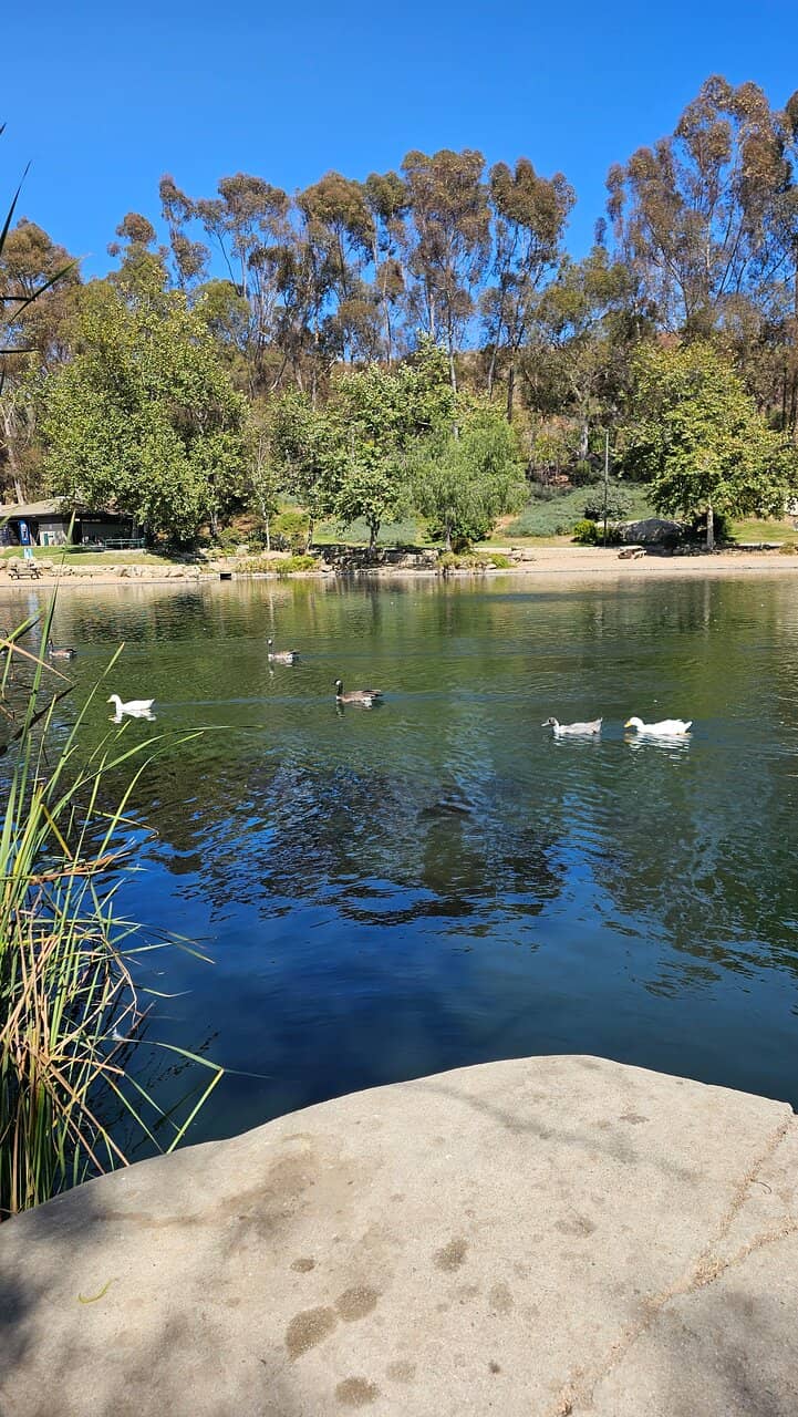 Panoramic City Views