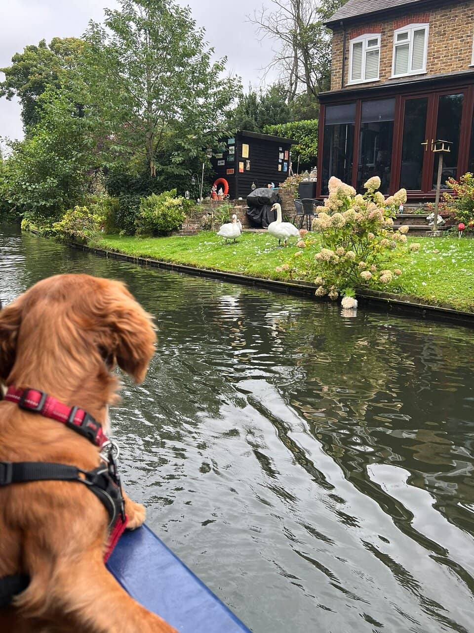 Waterside Cafe & Shop