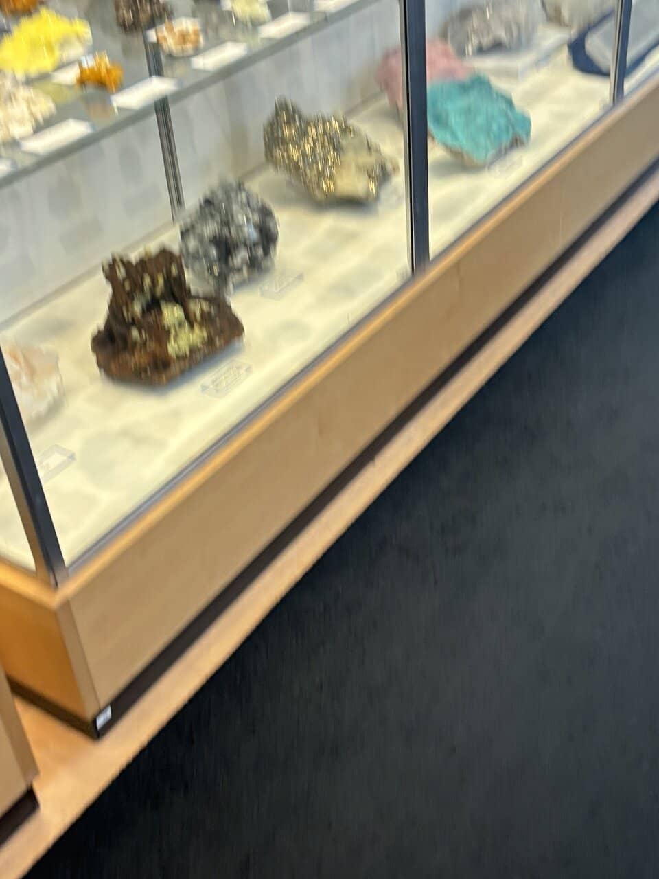 Fossil Hall