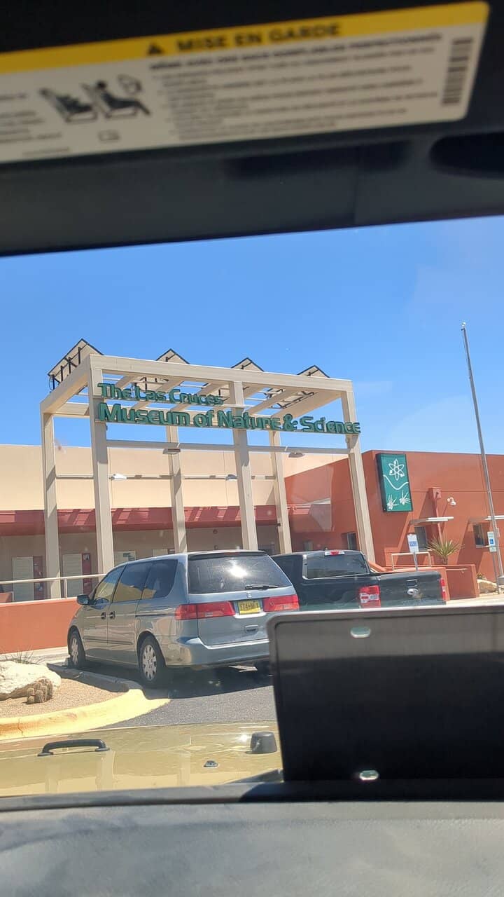 Live Reptiles and Insects