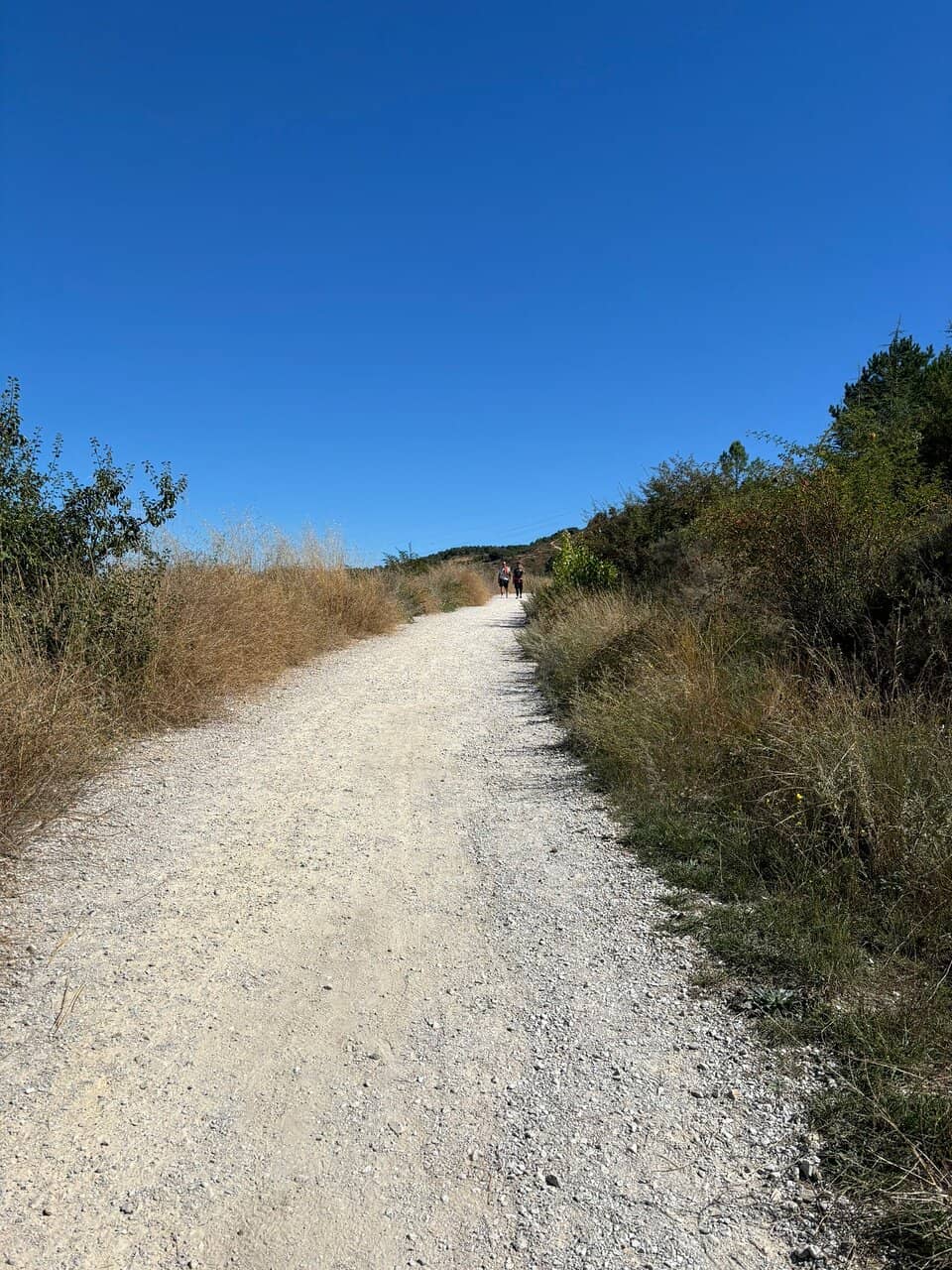 Panoramic City Views