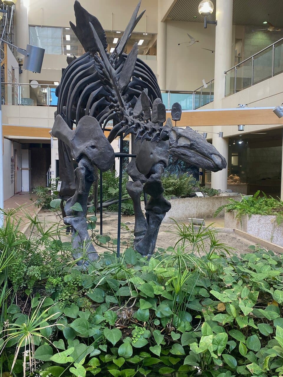 Museum of Natural Sciences U of S