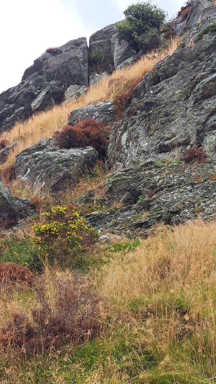 Trout Jumping Boardwalk