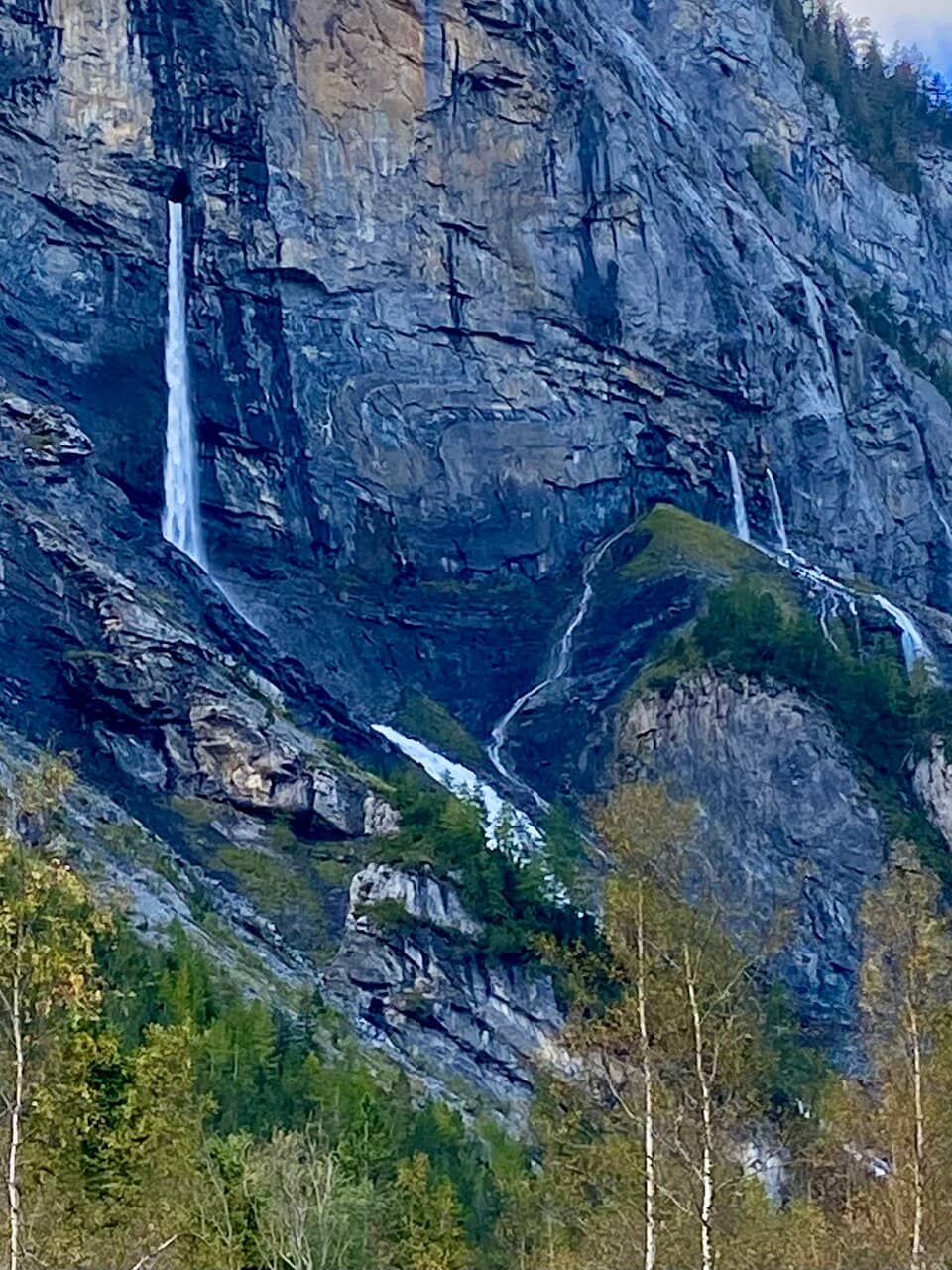 Vertical photo