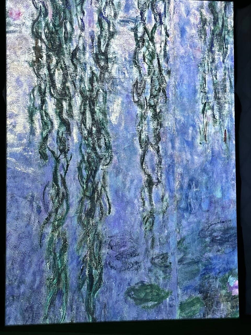 Pet-Friendly Amenities