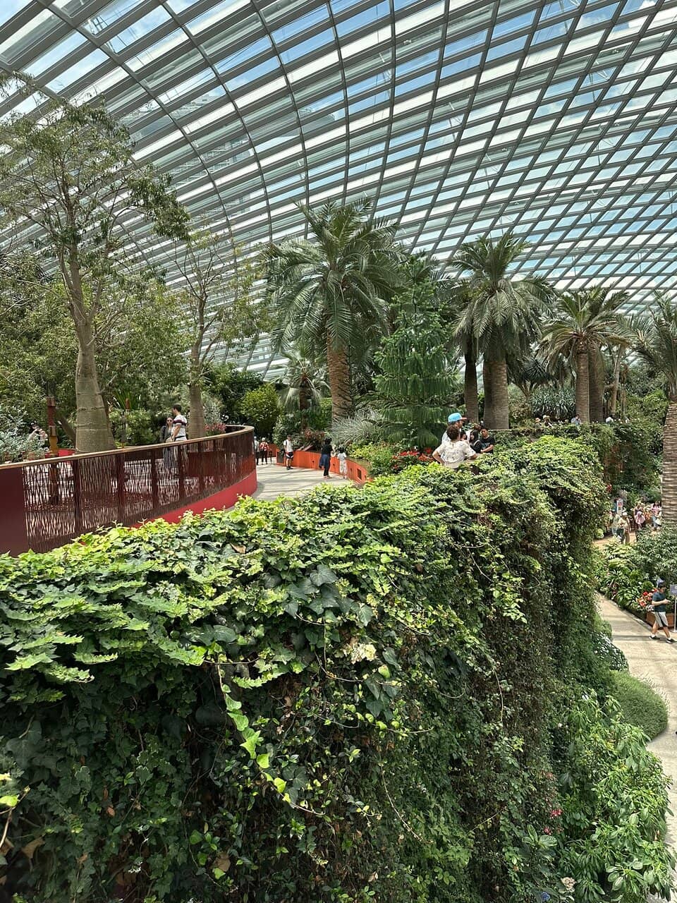 Frankie & Fern's Rooftop Cafe