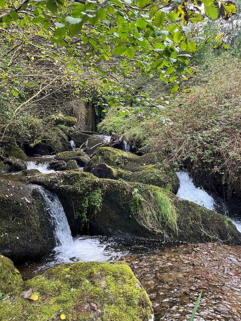 Cascading Waterfalls