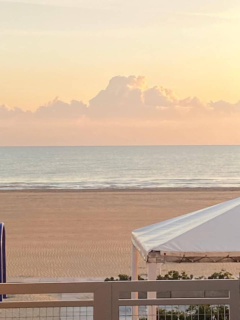 Body & Facial Scrubs