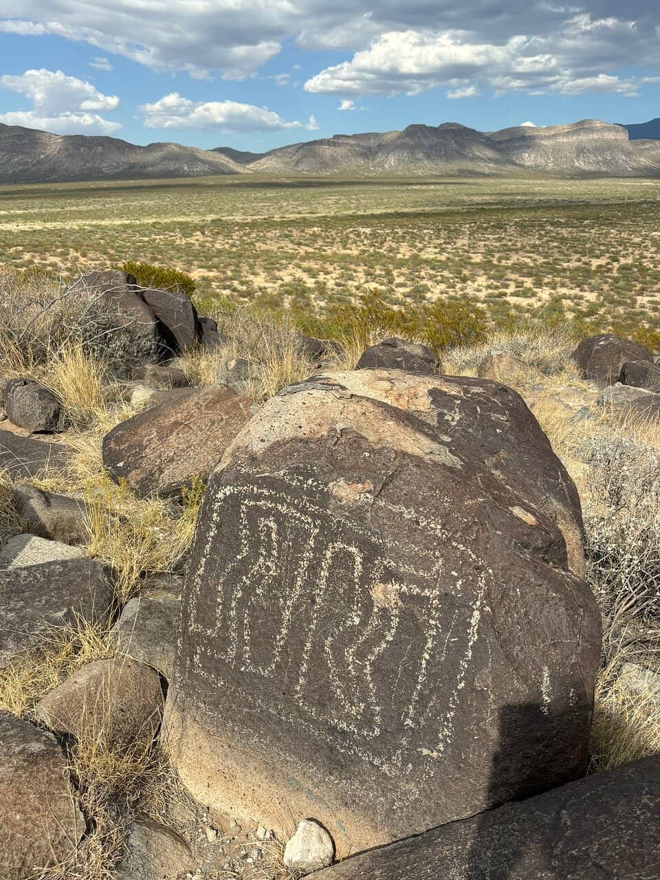 Panoramic Desert Views