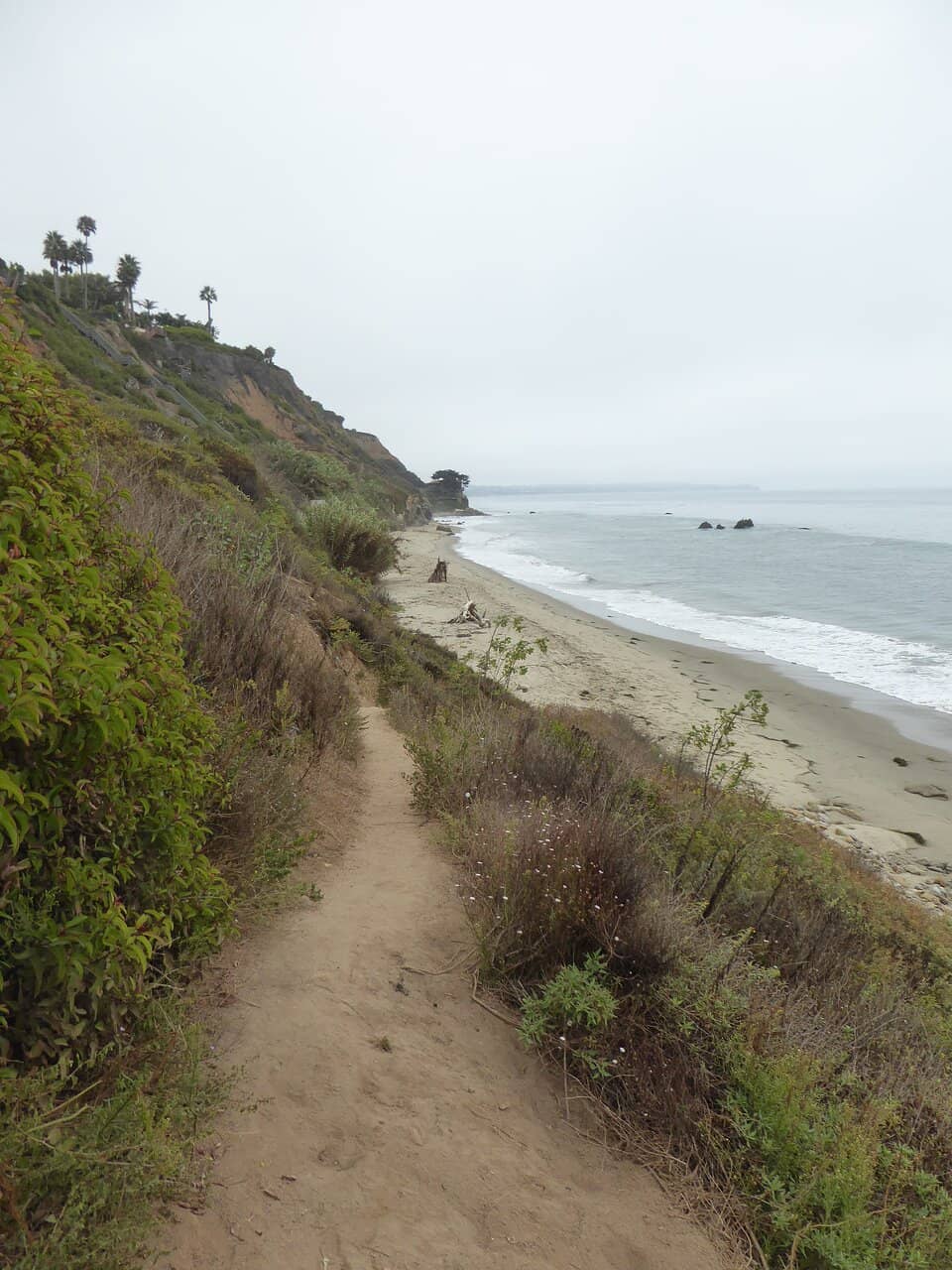 Tide Pool Exploration