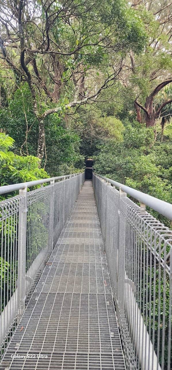 Knight's Tower Lookout