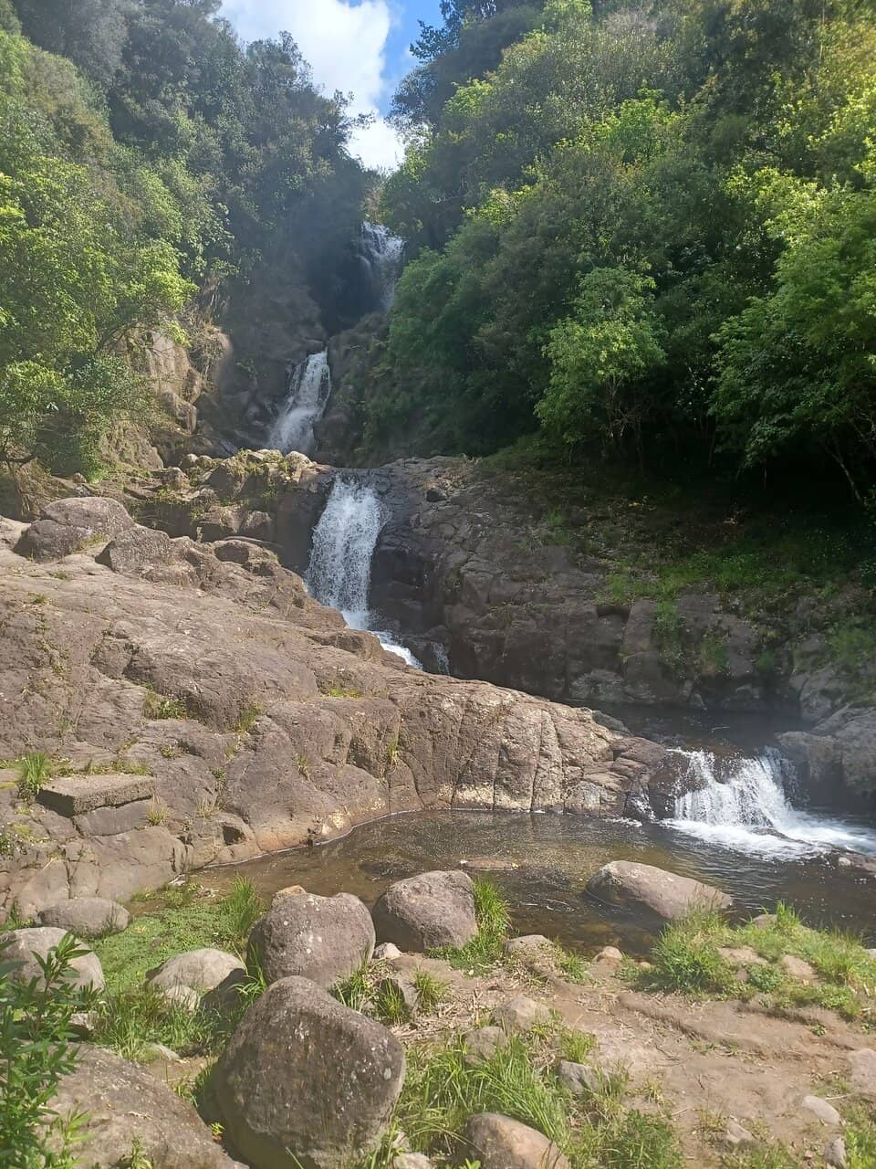 Scenic Bush Walk
