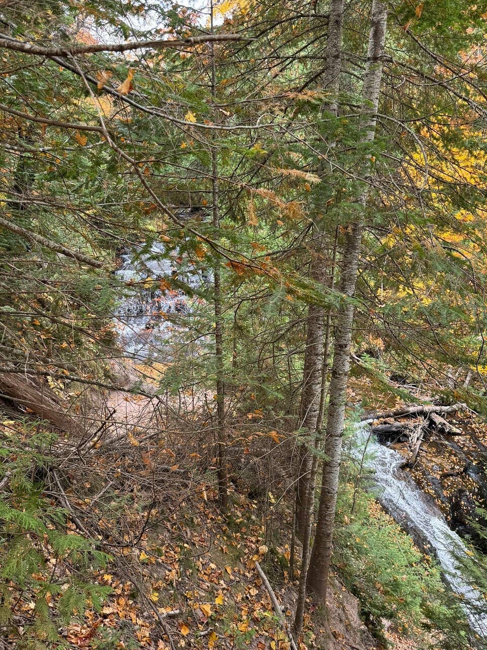 Cascading Beauty