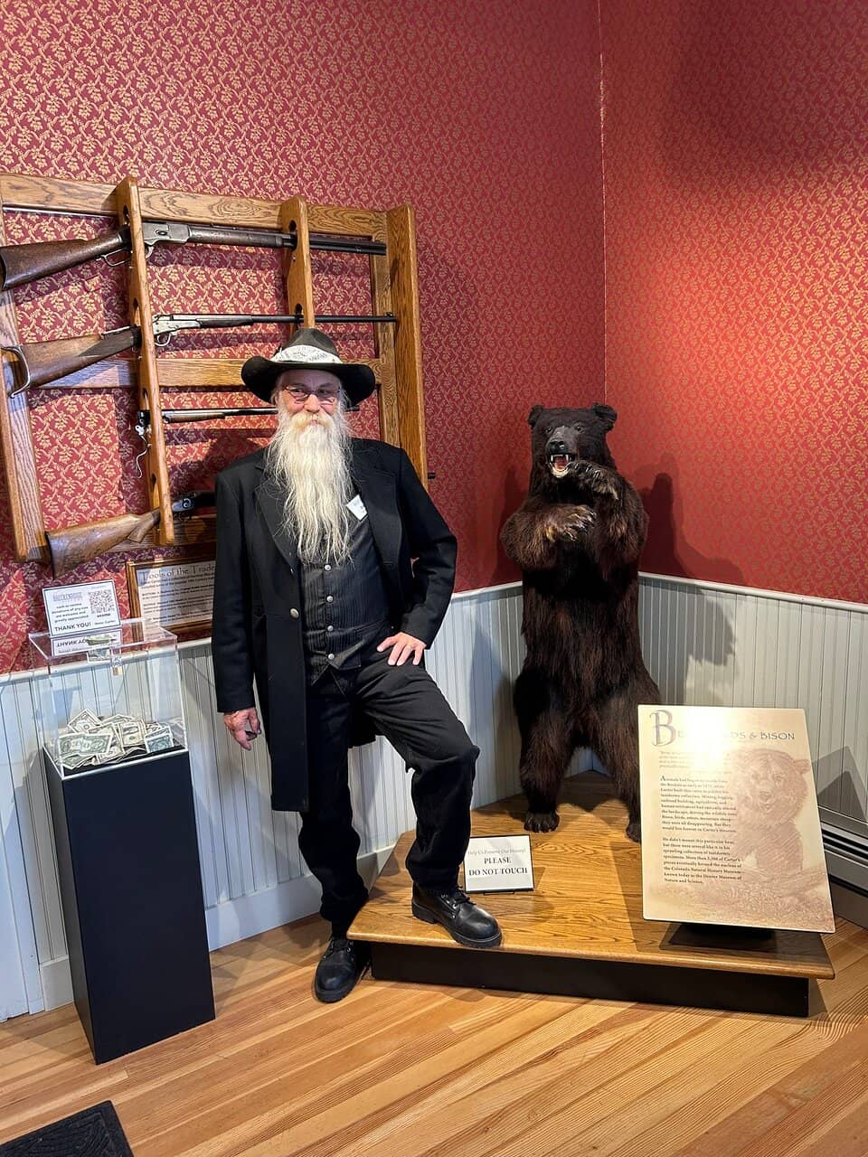 Taxidermy Collection