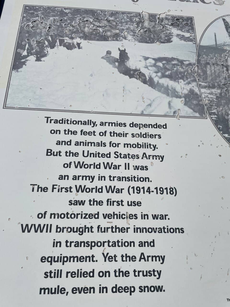 Alpine Valley Scenery