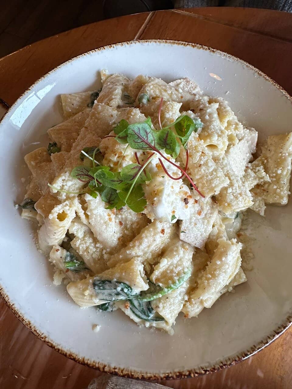 Conchiglie del Mare