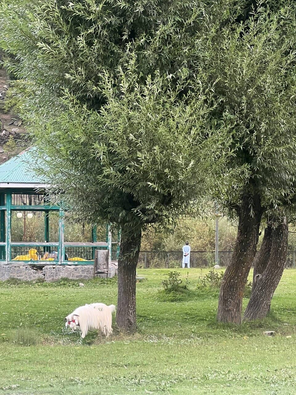 Aru Valley's Natural Charm