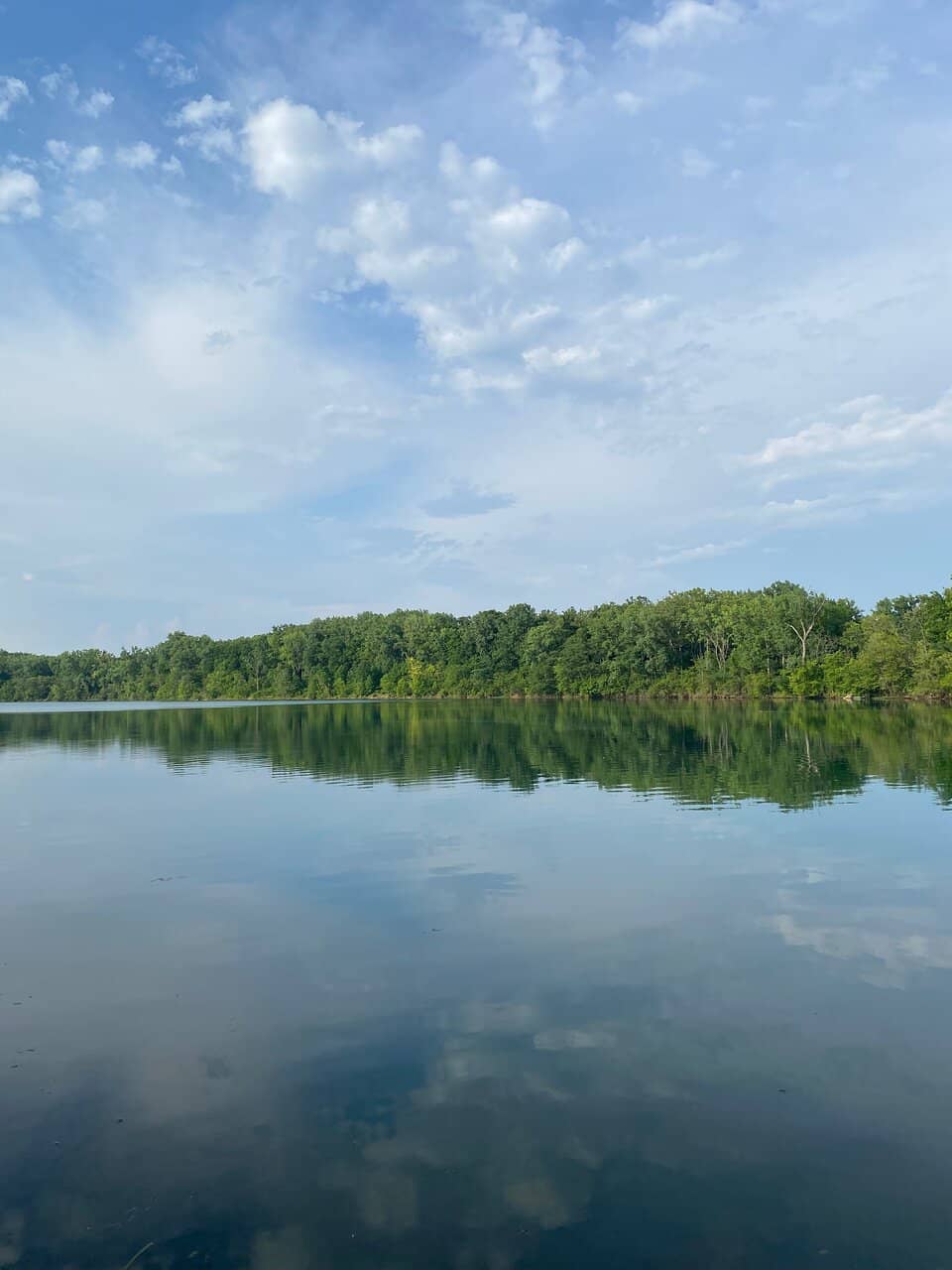 Goat Grazing Initiative