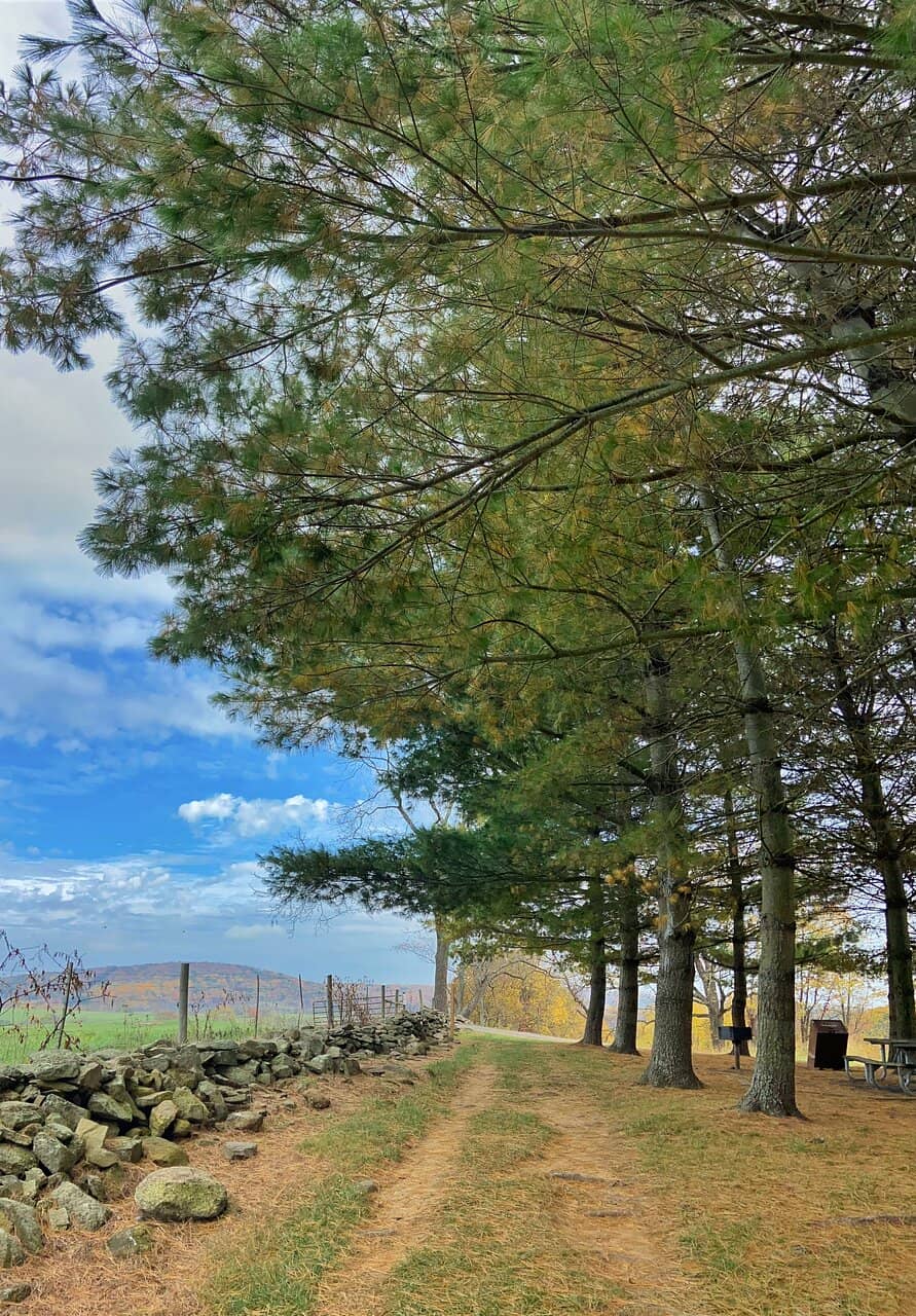 State Arboretum of Virginia