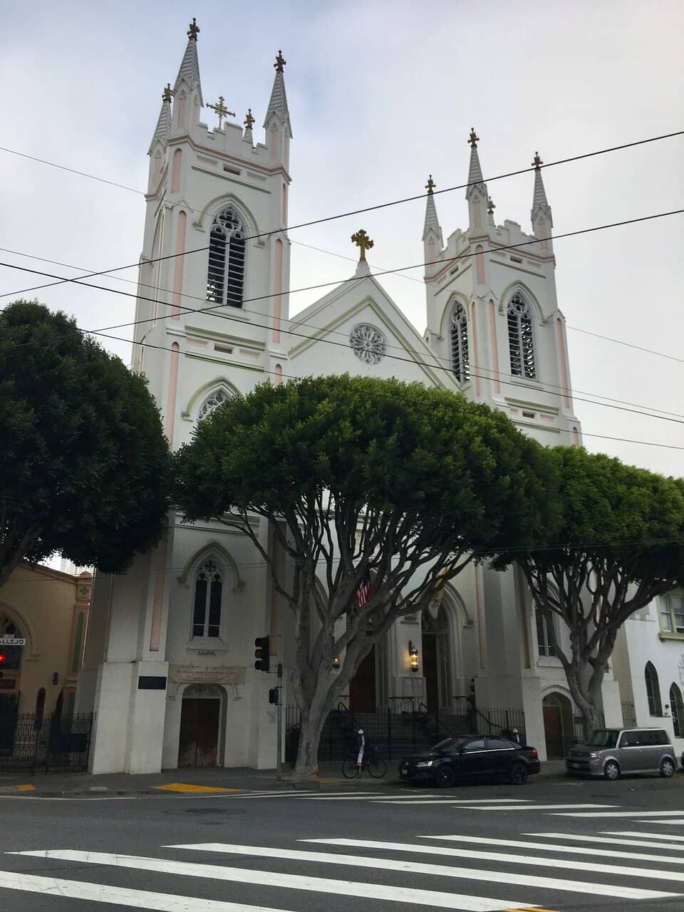 Vertical photo