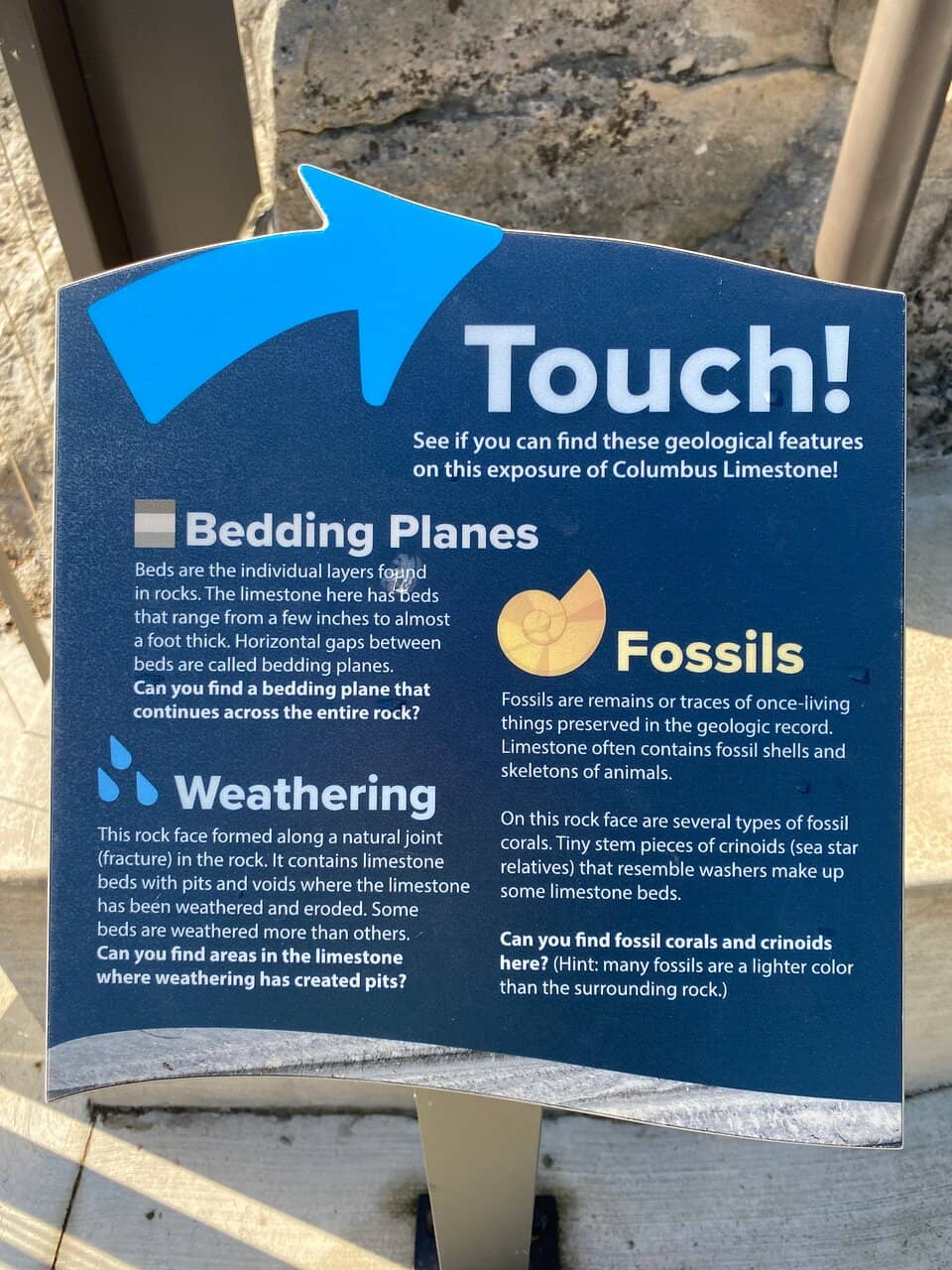 Fossil Discoveries