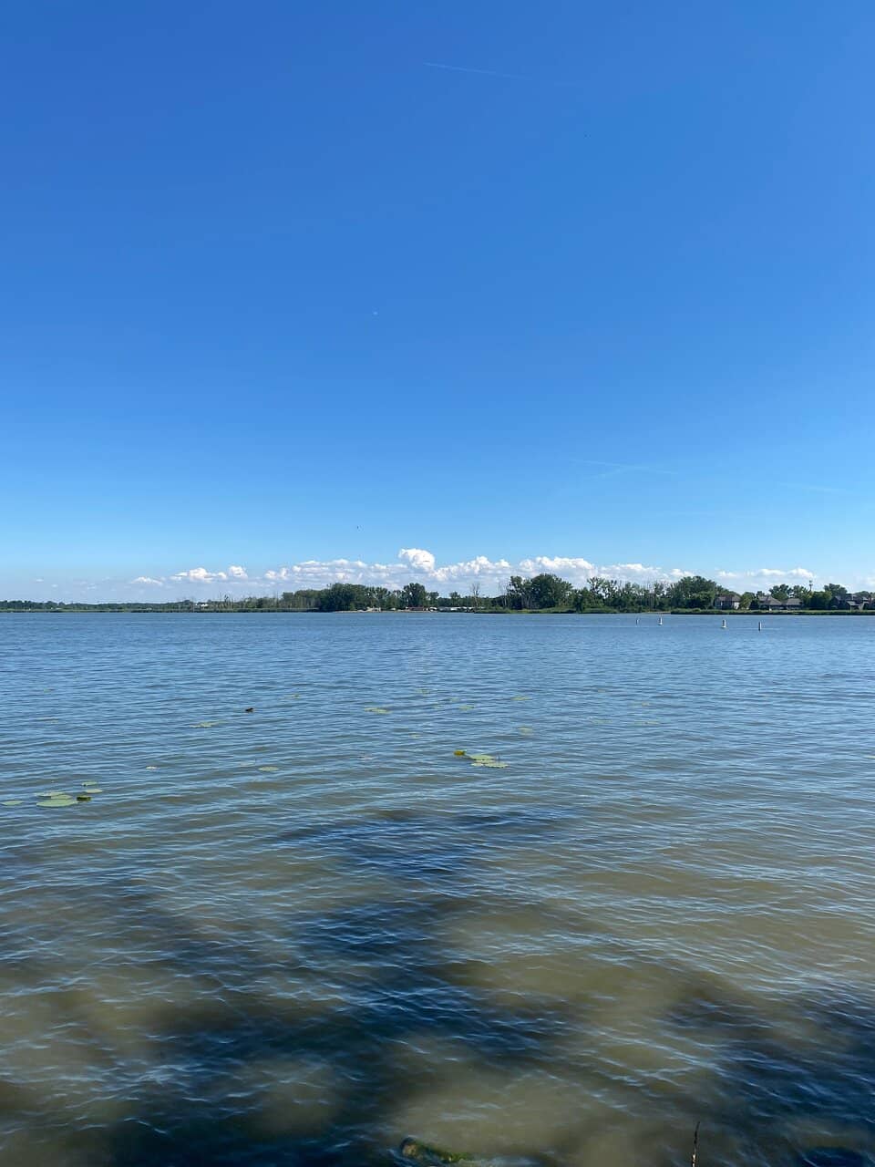 Scenic Dike Trails